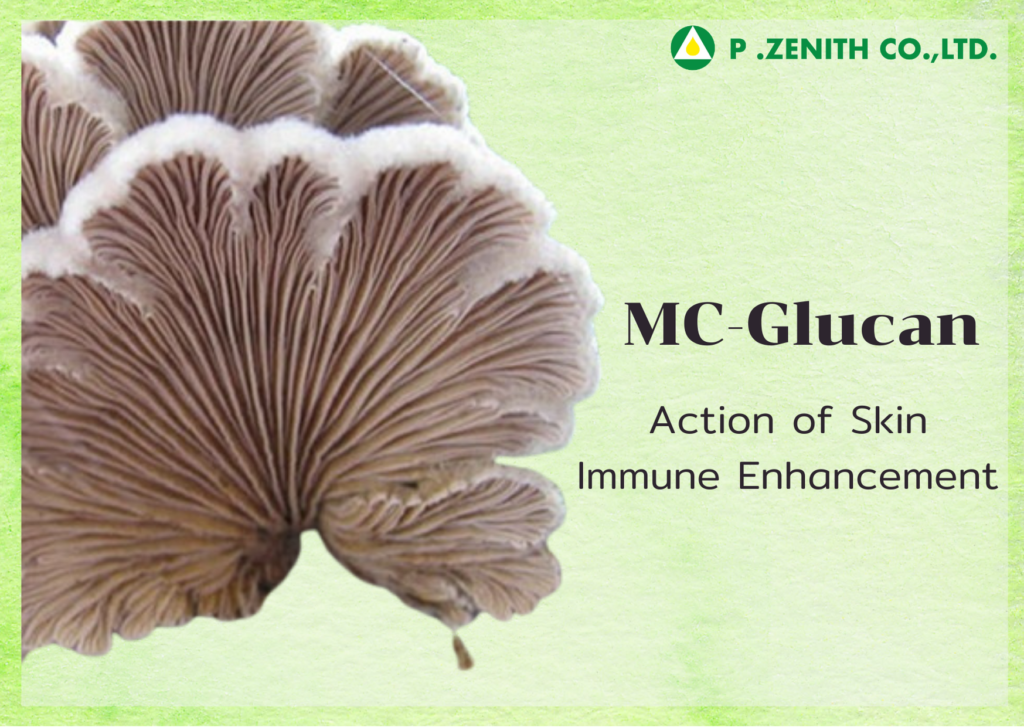 MC-Glucan Action of Skin Immune Enhancement